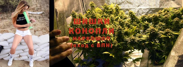 стаф Лихославль