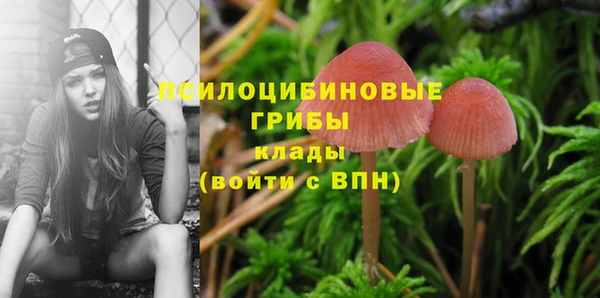 прущие крисы Лиски