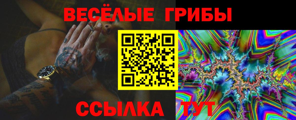 Галлюциногенные грибы прущие грибы Екатеринбург