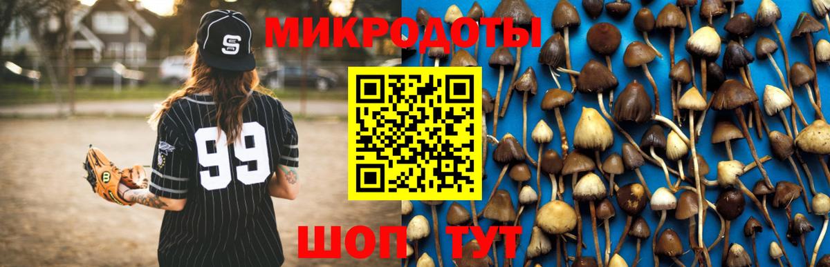 Псилоцибиновые грибы MAGIC MUSHROOMS Екатеринбург